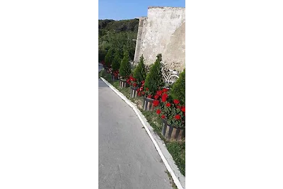 Appartamento Vacanza con famiglia Supetarska Draga