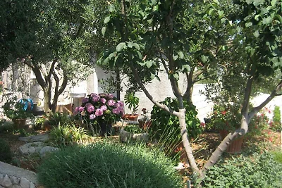 Holiday flat family holiday Kanica