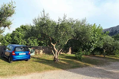 Appartement Vacances avec la famille Jurandvor
