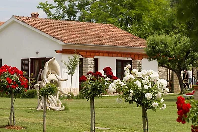 Ferienhaus mit schönem Garten