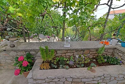 Appartement Vacances avec la famille Veli Losinj