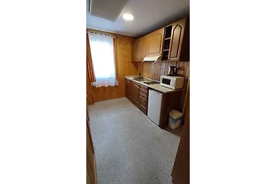 Ferienwohnung in Erzgebirge mit Möglichkeit