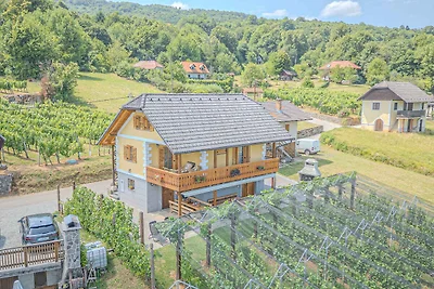 Ferienhaus Weingut mit Internet