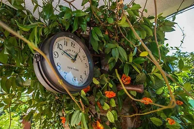 Casa vacanze Vacanza di relax Dračevac