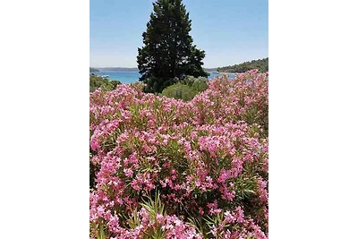 Vakantieappartement Gezinsvakantie Mali Lošinj