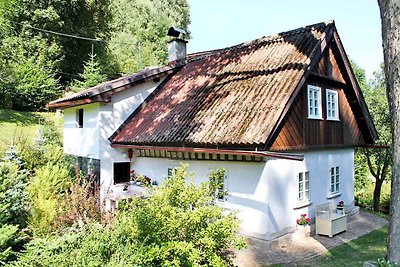 Ferienhaus mit Waschmachine