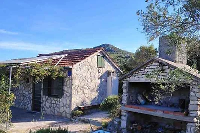 Ferienhaus mit Garten