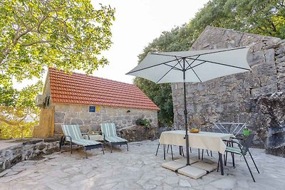 Ferienhaus mit Grill