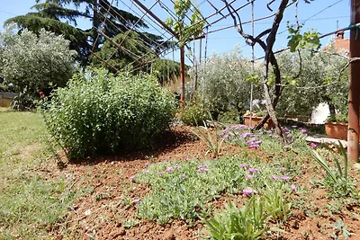 Vakantieappartement Gezinsvakantie Pomer