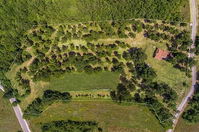 Ferienhaus mit Grill und Garten