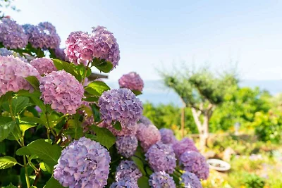 Studio mit Terrasse und schönen Meerblick