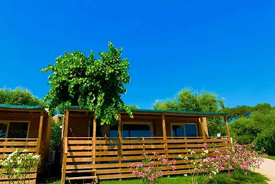 Vakantiehuis Ontspannende vakantie Padenghe sul Garda