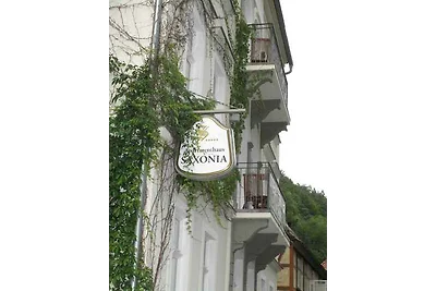 Vakantieappartement Gezinsvakantie Bad Schandau