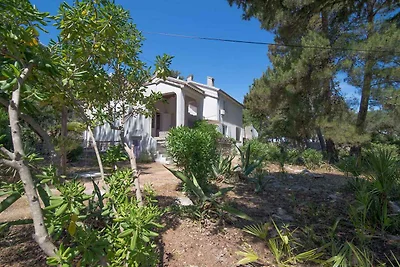 Ferienwohnung mit Terrasse und Grill