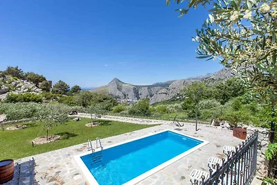 Ferienhaus mit Aussenpool