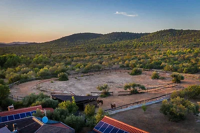 Idyllisches Ferienhaus zwischen Tribunj und