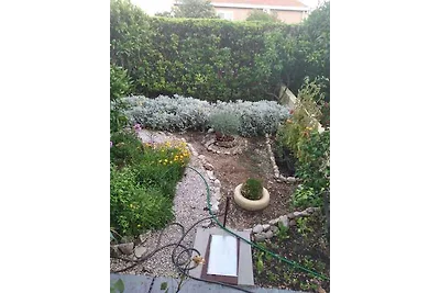 Gemütliche Ferienwohnung Vesna in Orebić auf 