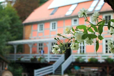 Ferienhaus in einer historischen Wassermühle
