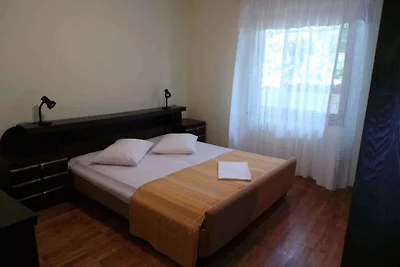 Appartamento Vacanza con famiglia Pjescana uvala