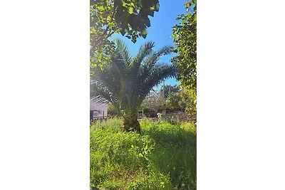 Ferienwohnung im Erdgeschoss klimatisiert