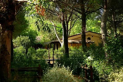 Casa vacanze Vacanza di relax Castiglione della Pescaia