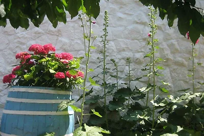 Holiday flat family holiday Kanica