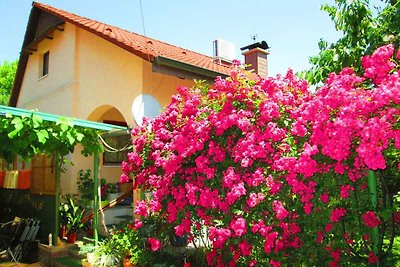 Ferienhaus mit Terasse und Grillmöglichkeit