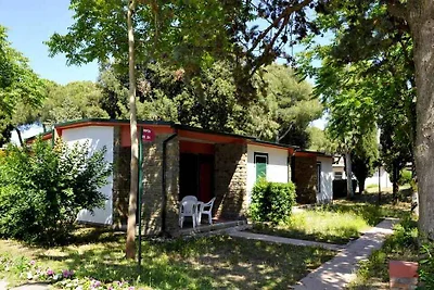 Studio mit Terrasse