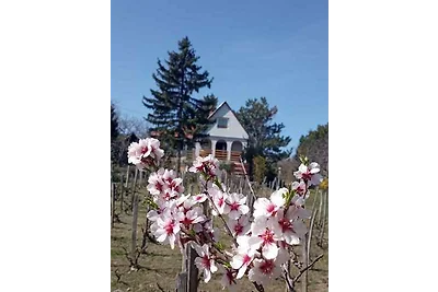 Ferienhaus mit Panorama und Internet