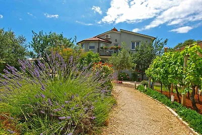 Ferienwohnung mit Klimaanlage