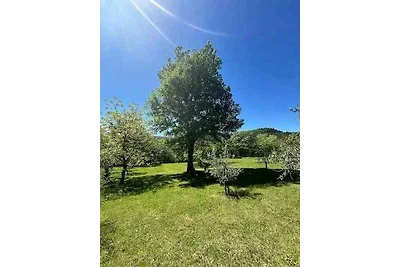 Casa vacanze Vacanza di relax Drivenik