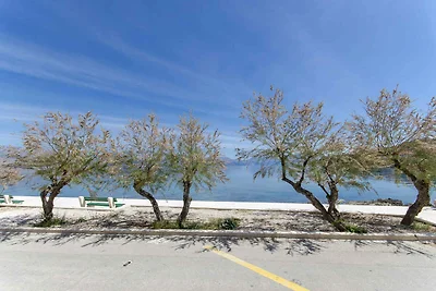 Ferienwohnung auf dem Strand