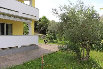 Appartamento Vacanza con famiglia Punat