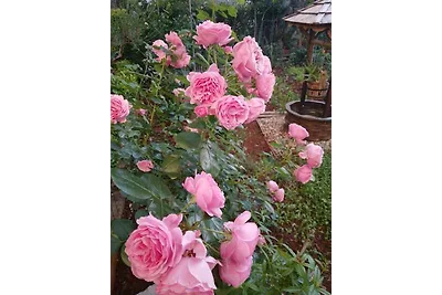 Ferienwohnung mit Klimaanlage und Terrasse