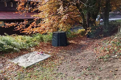Ferienwohnung in Erzgebirge mit Möglichkeit