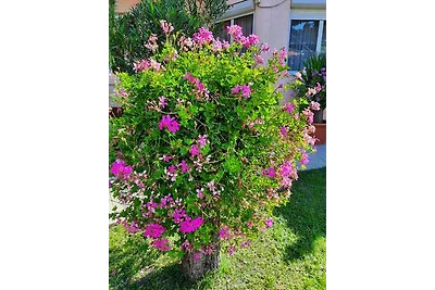 Ferienwohnung in ruhiger Strasse in der Nähe 