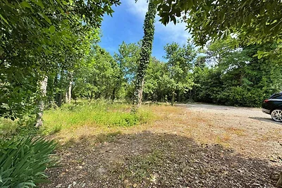 Gemütliches Ferienapartment Scheich mit Meerb