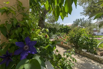 Ferienwohnung mit Terrasse und Klimaanlage