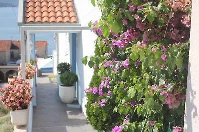 Ferienwohnung Mit Terasse und Klimaanlage