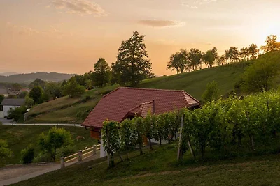 Ferienhaus auf dem Weinberghügel in der Nähe 