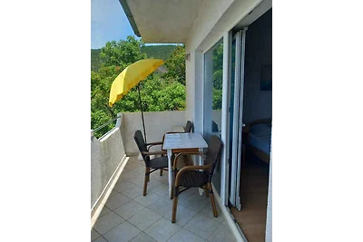 Appartamento Vacanza con famiglia Crikvenica