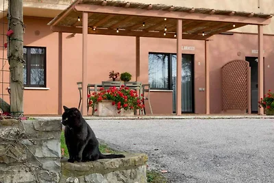 Ferienwohnung mit Garten und Klima
