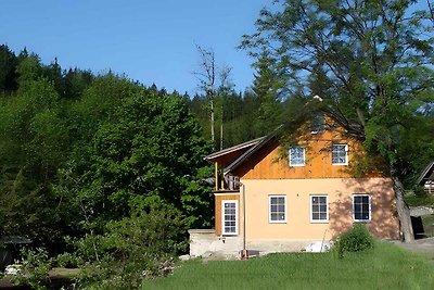 Ferienhaus mit Aussenpool am Wald