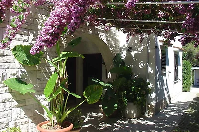 Ferienwohnung mit Terrasse und Grill