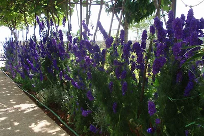 Apartamento Vacaciones familiares Molunat