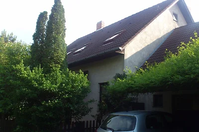 Vakantiehuis Ontspannende vakantie Balatonfenyves