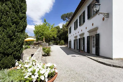 Villa umgeben von Olivenhainen und Pinienwald