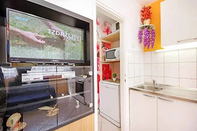 Ferienwohnung 100 m von der Adria entfernt
