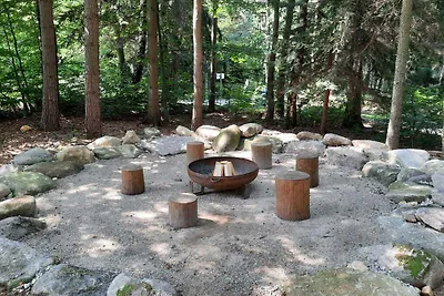 Hütte mit Kamin und Aussenkamin mit Grill