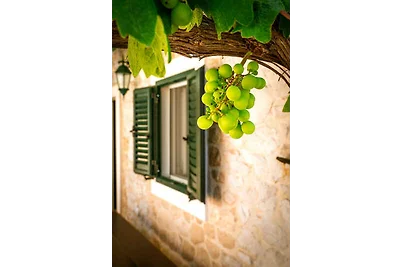 Casa vacanze Vacanza di relax Klek